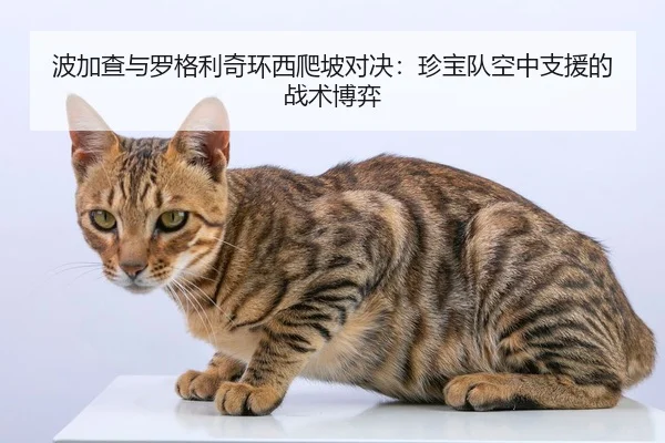 波加查与罗格利奇环西爬坡对决：珍宝队空中支援的战术博弈