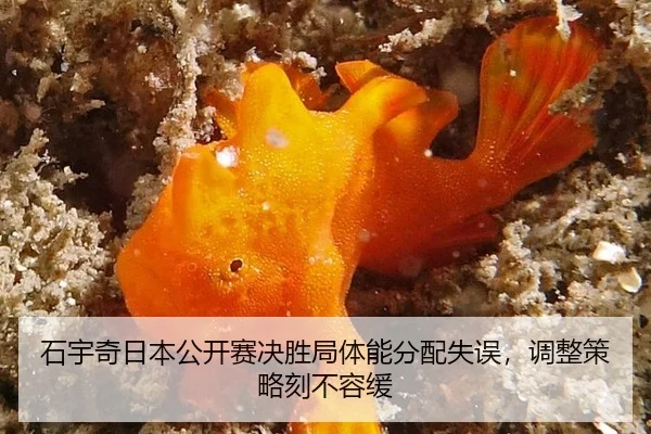 shi-yu-qi-ri-ben-gong-kai-sai-jue-sheng-ju-ti-neng-fen-pei-shi-wu-tiao-zheng-ce-lve-ke-bu-rong-huan-3-529.jpg