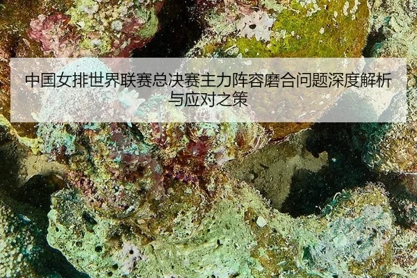 zhong-guo-nv-pai-shi-jie-lian-sai-zong-jue-sai-zhu-li-zhen-rong-mo-he-wen-ti-shen-du-jie-xi-yu-ying-dui-zhi-ce-3-517.jpg