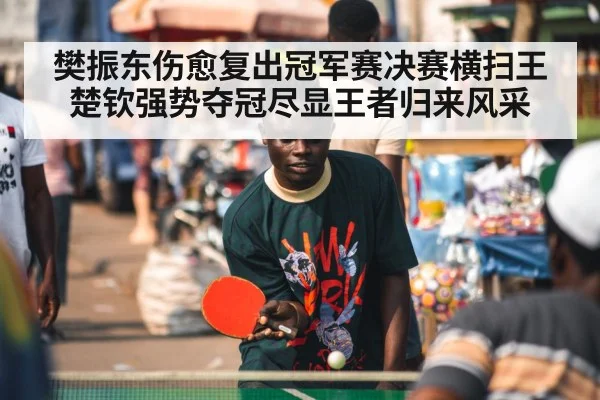 樊振东伤愈复出冠军赛决赛横扫王楚钦强势夺冠尽显王者归来风采