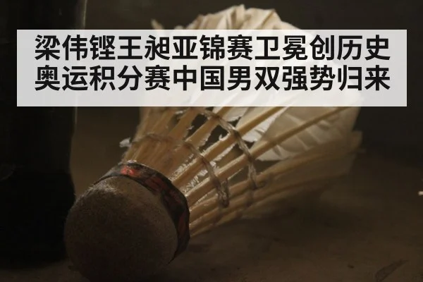 梁伟铿王昶亚锦赛卫冕创历史 奥运积分赛中国男双强势归来